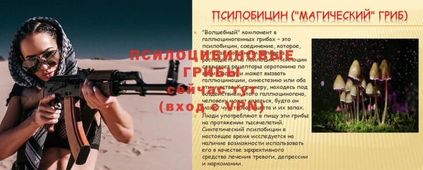 хмурый Тавда